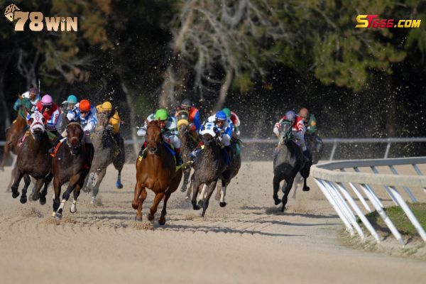 Tìm hiểu về bộ môn thể thao cá cược đua ngựa